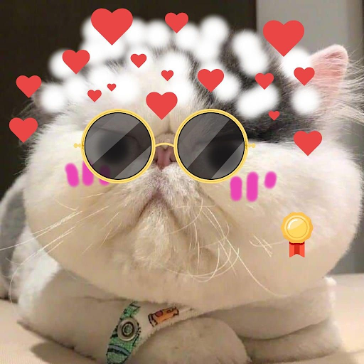 Bắt trend với 99+ mẫu avatar mèo Blox Fruit hot nhất hiện nay