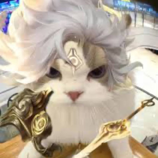 Avatar mèo dũng sĩ với những vũ khí tối tân