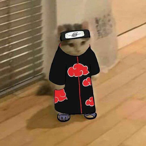 Mèo lấy cảm hứng từ nhân vật trong game anime