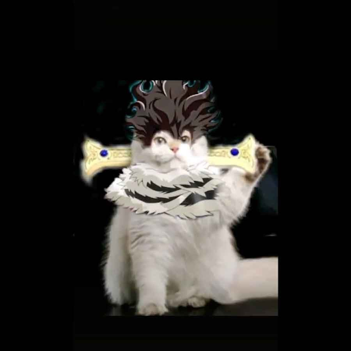 Avatar mèo mang phụ kiện chiến đấu độc đáo