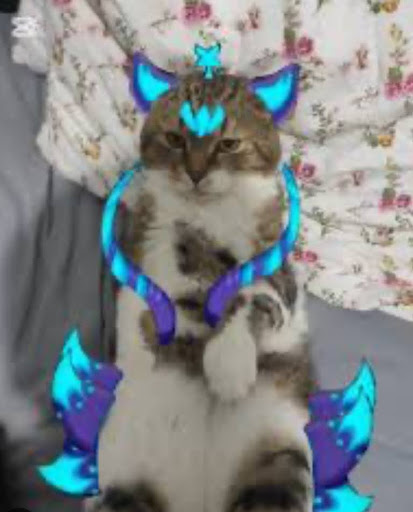 Avatar mèo phù thuỷ huyền bí