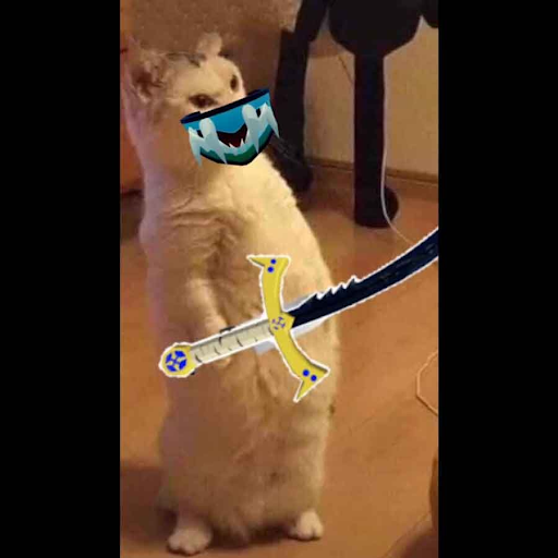 Ảnh avatar mèo cưng với những món phụ kiện Roblox “lạc quẻ”