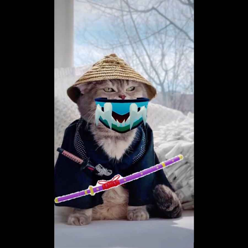 Mèo anime theo phong cách hành động ngầu chiến